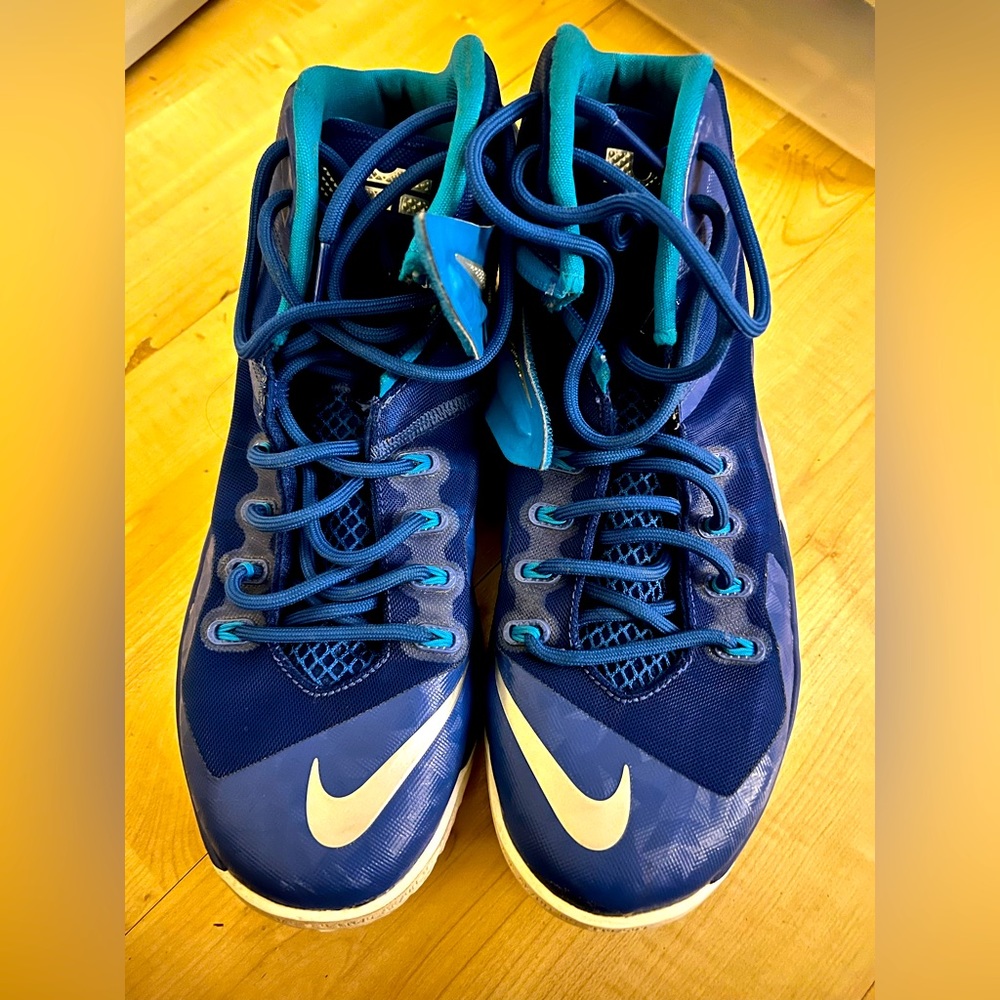 Nike Lebron Basketball shoes